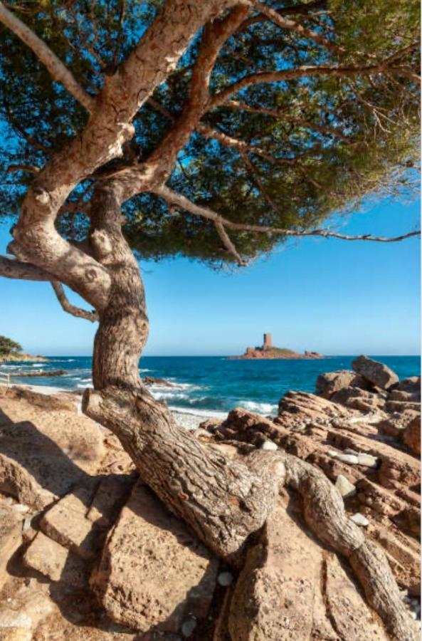 Le Petit Semaphore Saint-Raphaël Kültér fotó